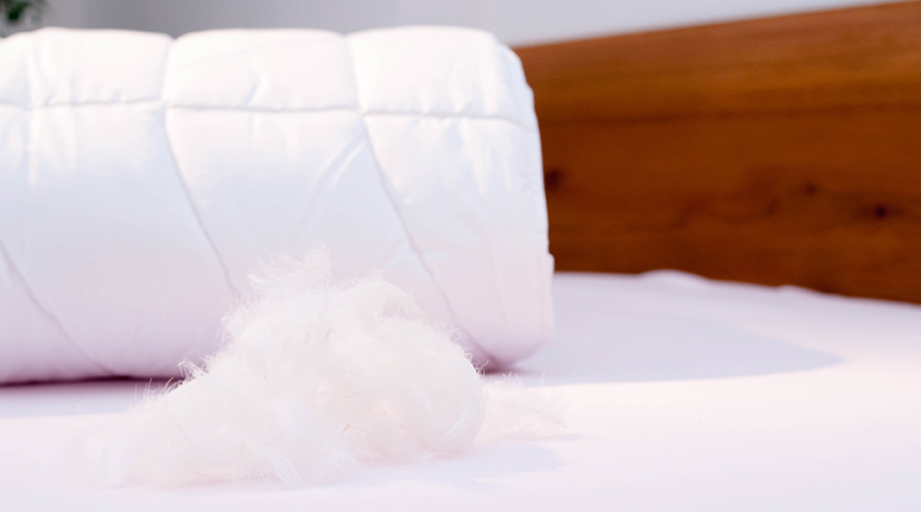Sommerdecke & Daunen Decke und Daunen auf dem Bett